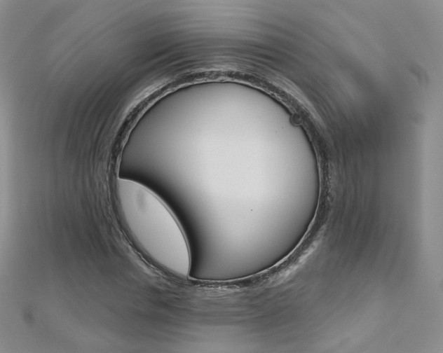 X0000112480826200908171010