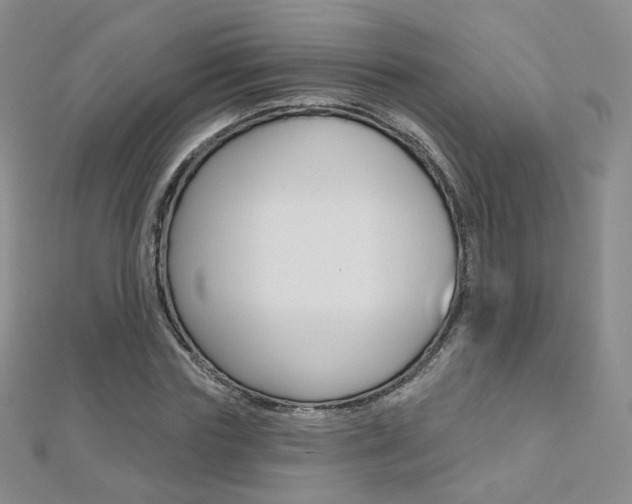 X0000112480827200908171010