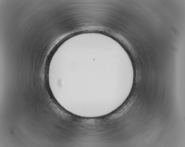 X0000112480828200908171010