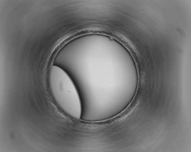 X0000112480829200908171010