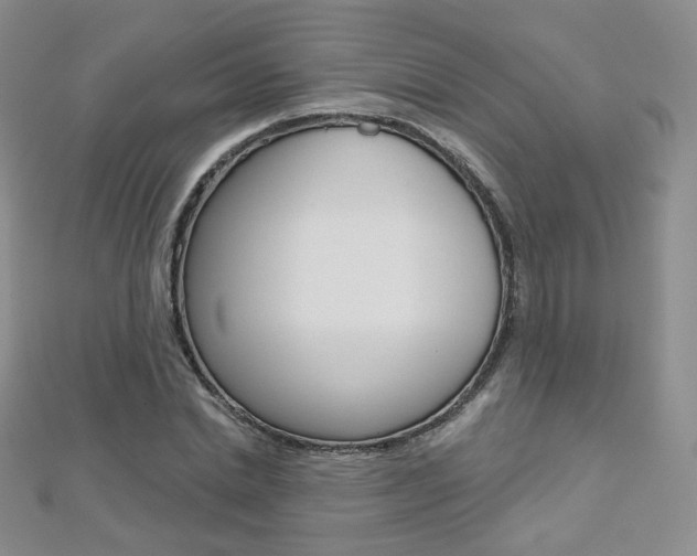 X0000112480830200908171010