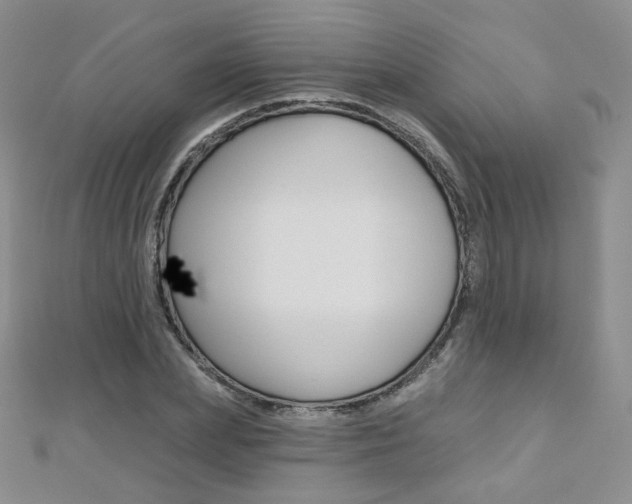 X0000112480831200908171010