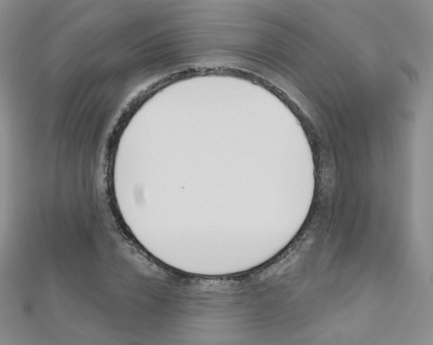 X0000112480832200908171010