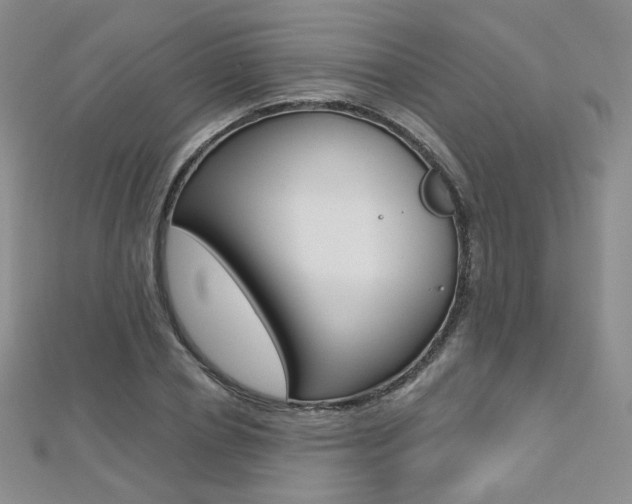 X0000112480834200908171010