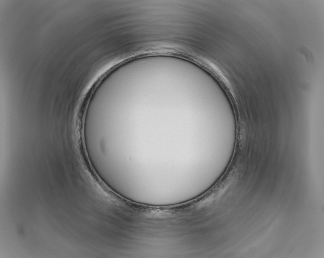 X0000112480835200908171010
