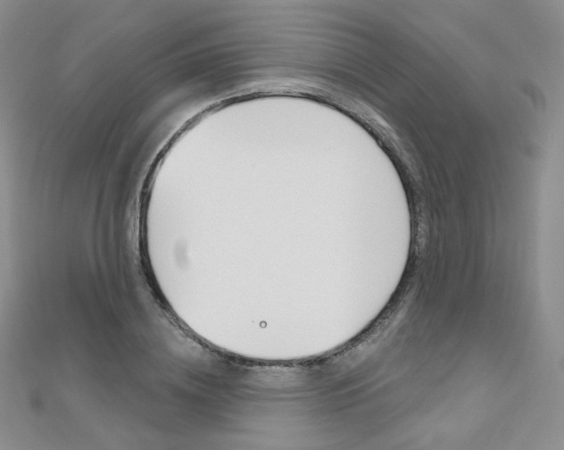 X0000112480836200908171010
