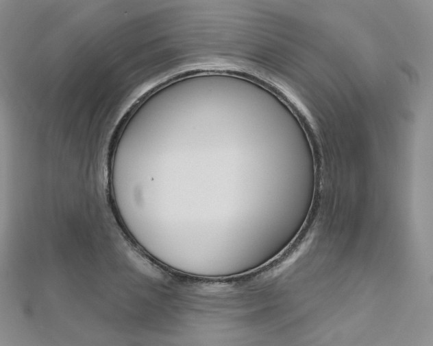 X0000112480837200908171010