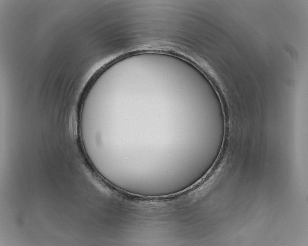 X0000112480838200908171010