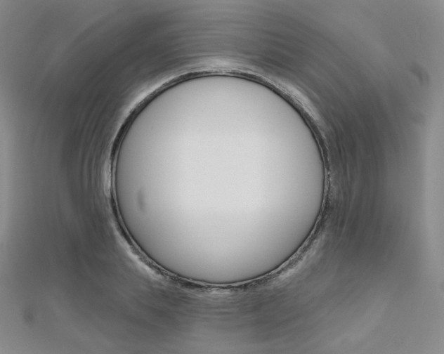 X0000112480839200908171010