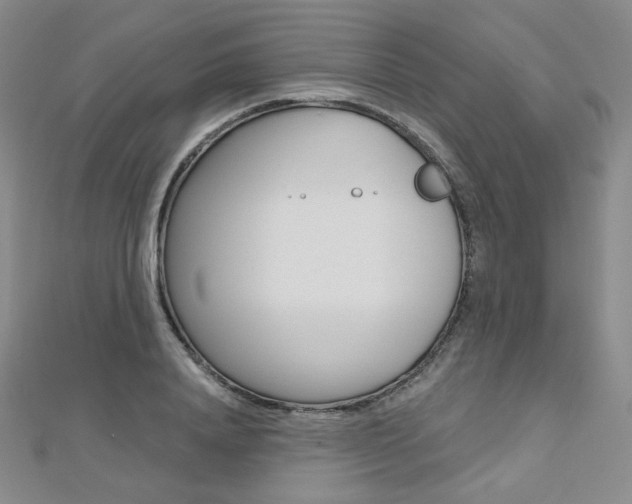 X0000112480840200908171010