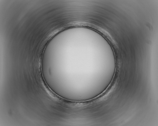 X0000112480841200908171010