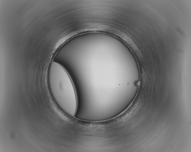 X0000112480842200908171010