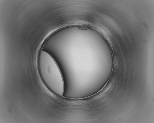 X0000112480843200908171010