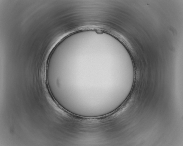 X0000112480844200908171010