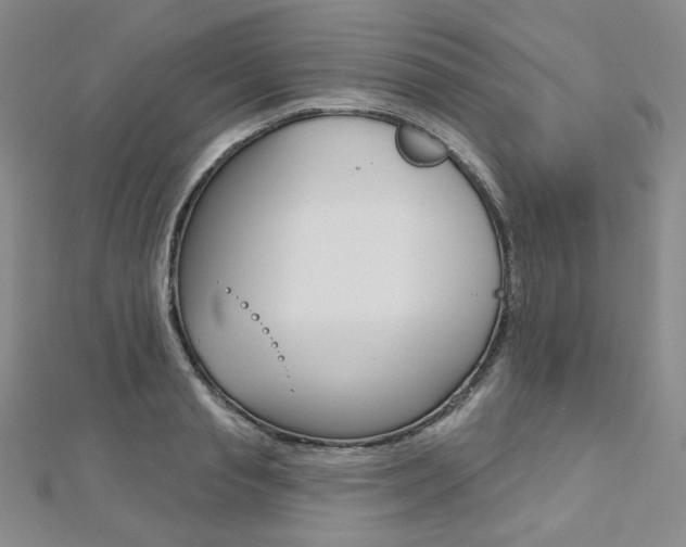 X0000112480845200908171010