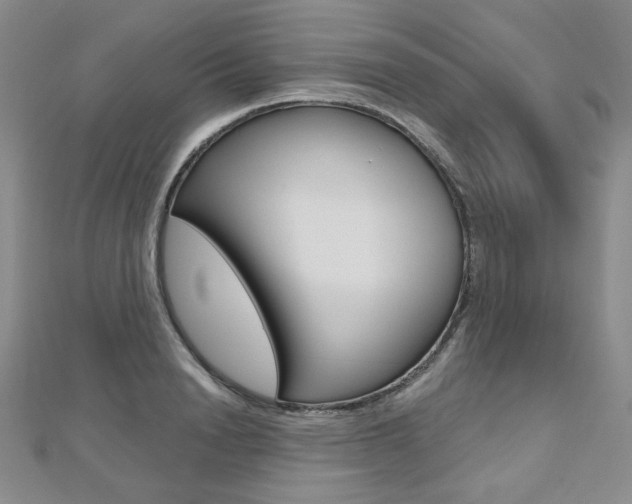 X0000112480846200908171011
