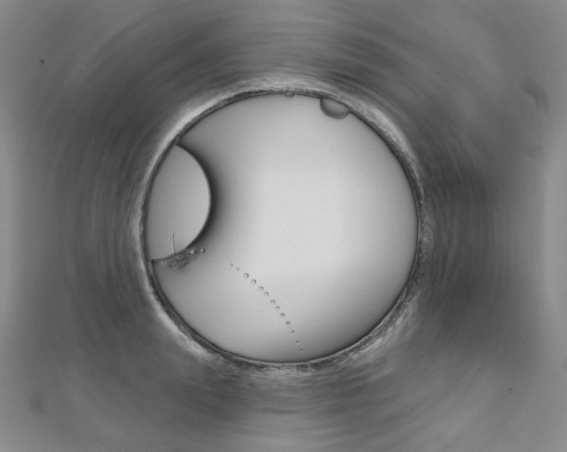 X0000112480847200908171011