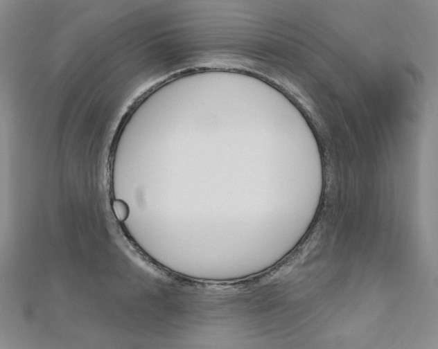 X0000112480848200908171011