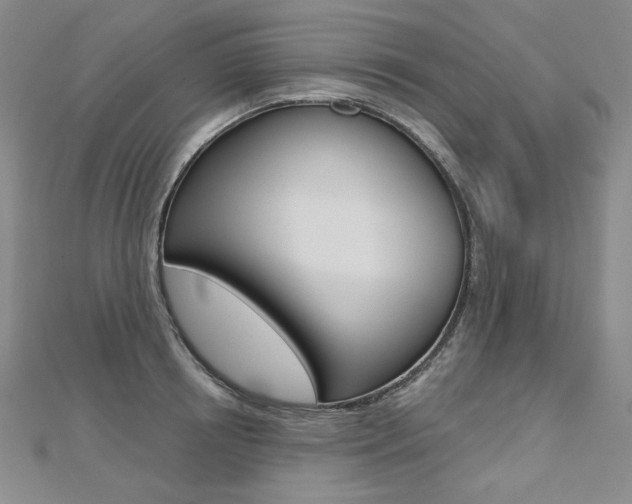 X0000112480850200908171011