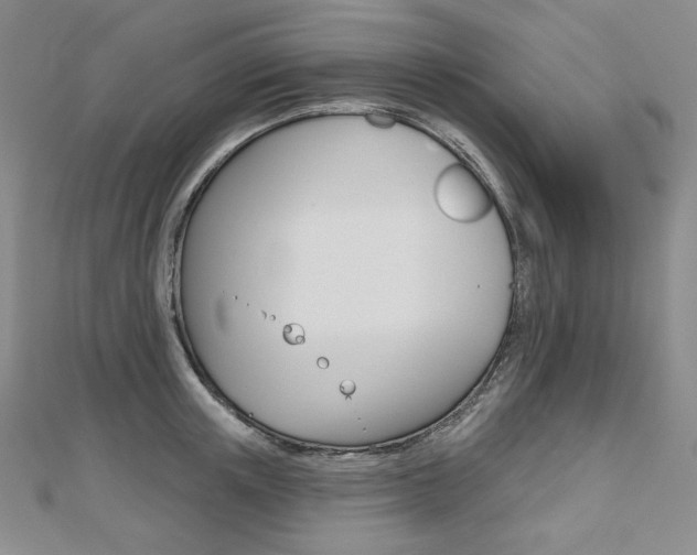 X0000112480851200908171011