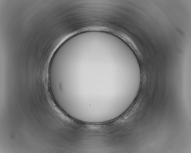 X0000112480852200908171011
