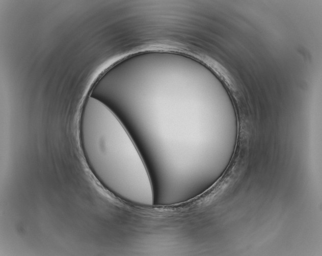 X0000112480854200908171011