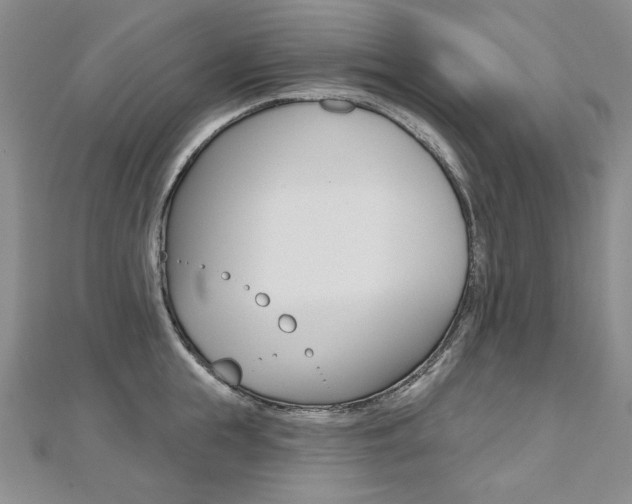 X0000112480855200908171011