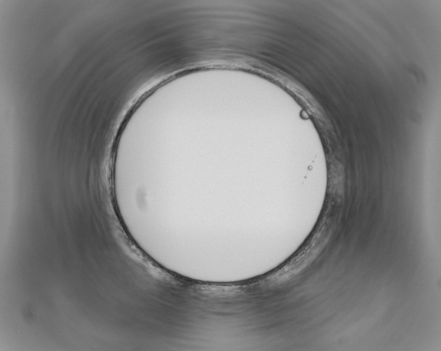 X0000112480856200908171011