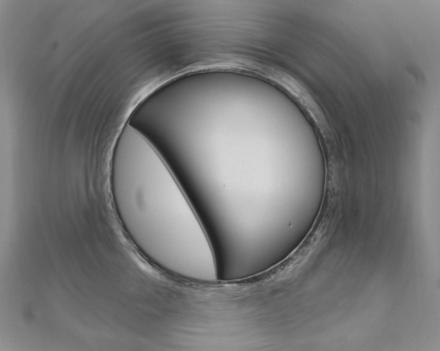 X0000112480858200908171011