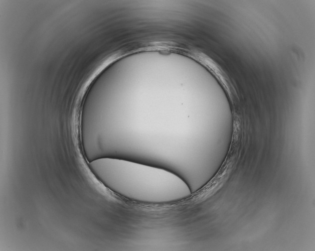 X0000112480859200908171011