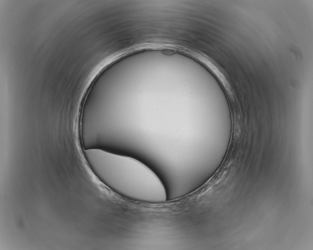 X0000112480861200908171011