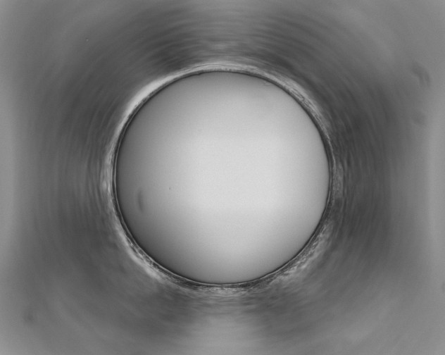 X0000112480862200908171011