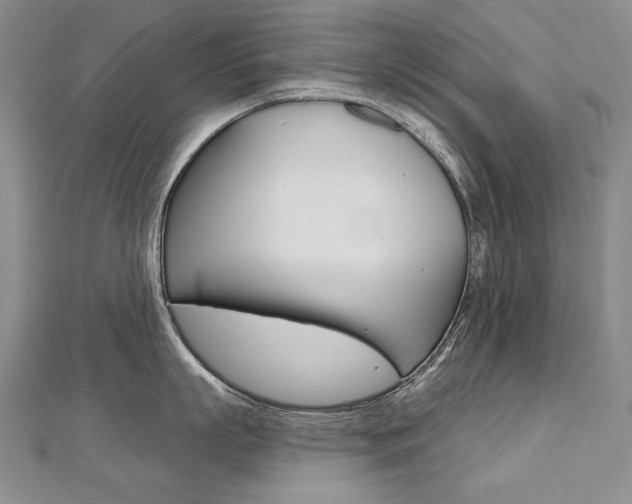 X0000112480863200908171011
