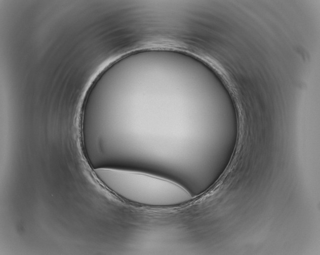 X0000112480864200908171011