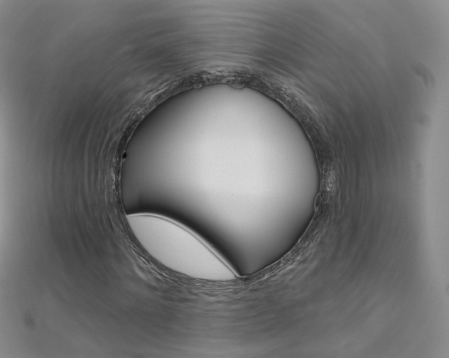 X0000112480868200908171010
