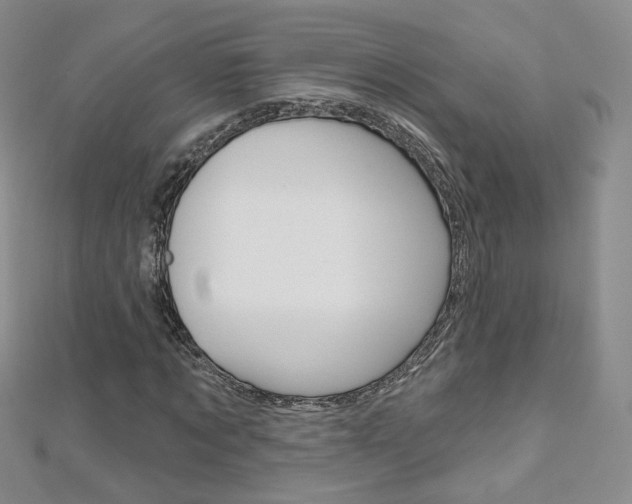 X0000112480869200908171010