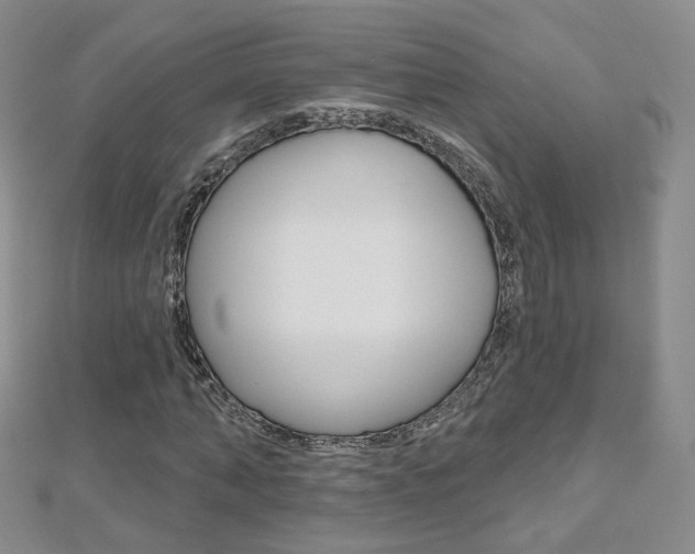 X0000112480870200908171010