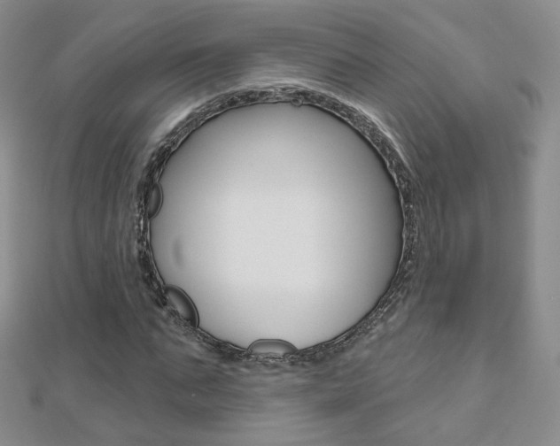 X0000112480871200908171010