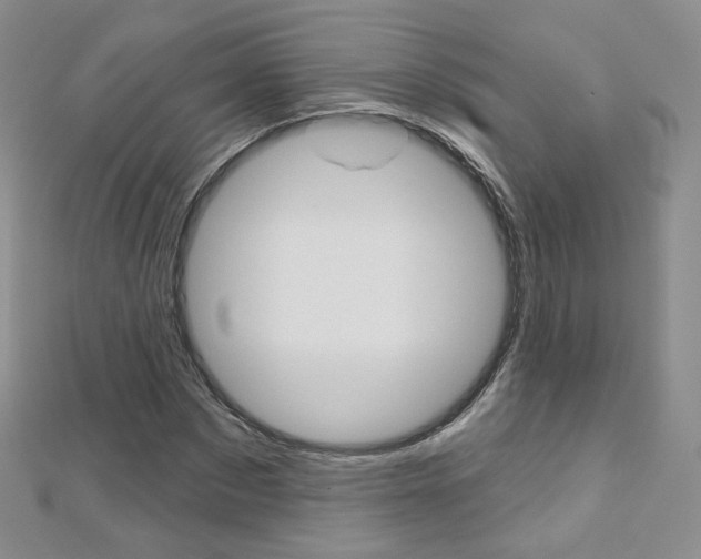 X0000112480873200908171010