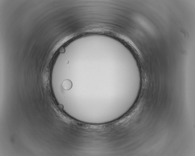 X0000112480874200908171010