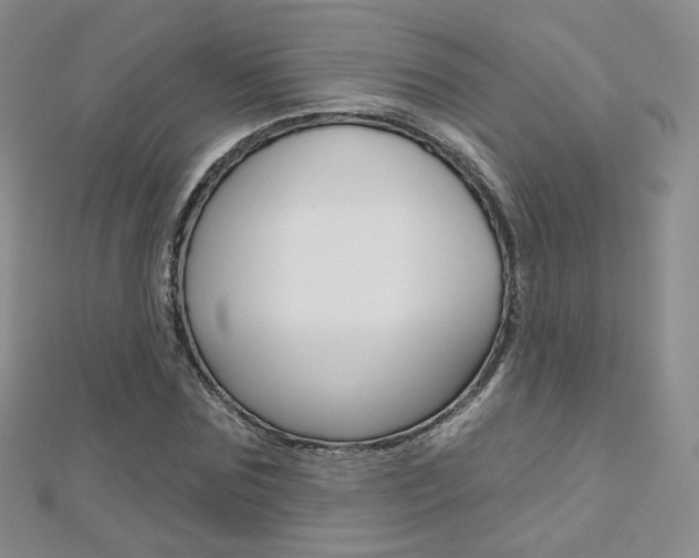 X0000112480875200908171010