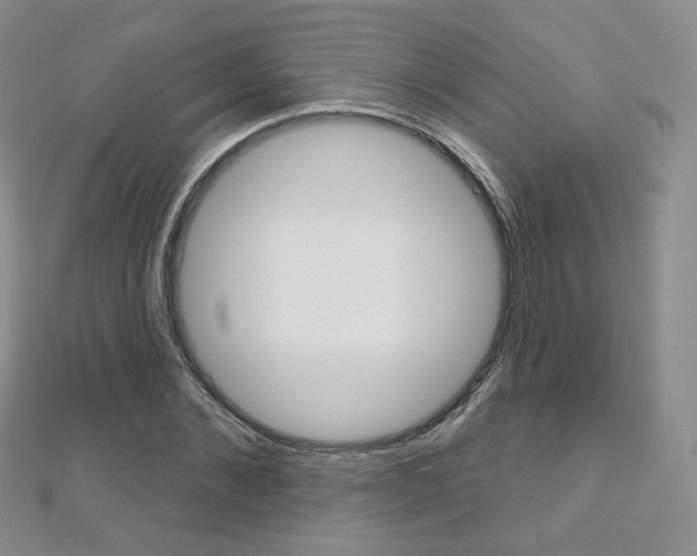 X0000112480876200908171010