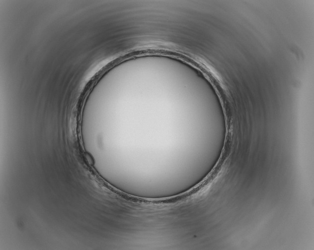 X0000112480877200908171010
