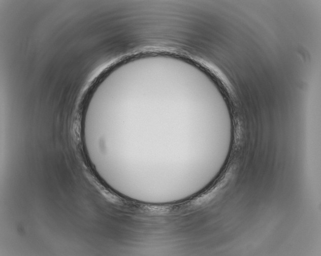 X0000112480878200908171010