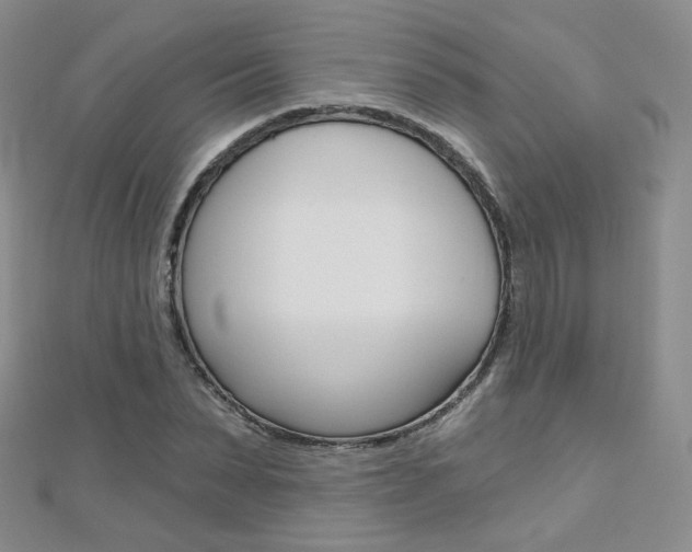 X0000112480879200908171010