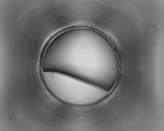 X0000112480880200908171010