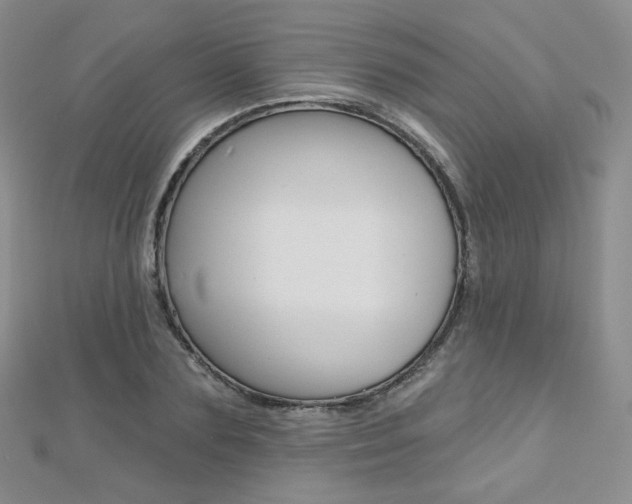 X0000112480883200908171010
