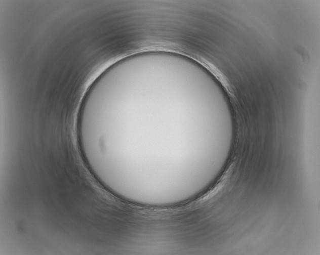 X0000112480885200908171010
