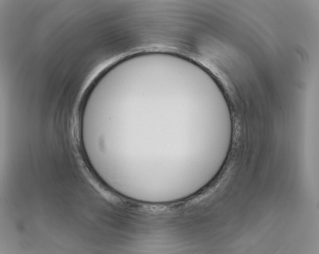 X0000112480886200908171010