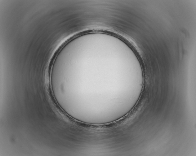 X0000112480887200908171010